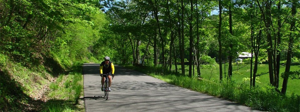 Fudge Creek Fudge Creek